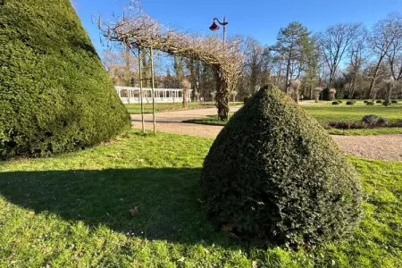 Pavillon Lorrain : maison de charme au cœur de Vittel : photo 26