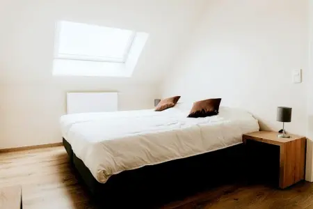 De Veldhoek – Maison 12 pers. avec salle de jeux : photo 5