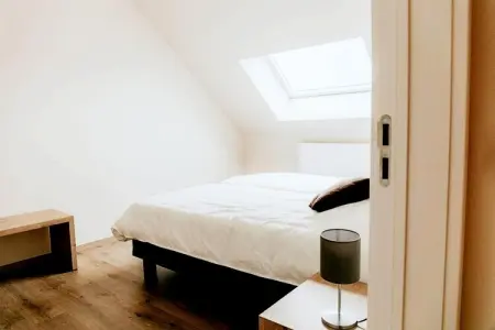 De Veldhoek – Maison 12 pers. avec salle de jeux : photo 23