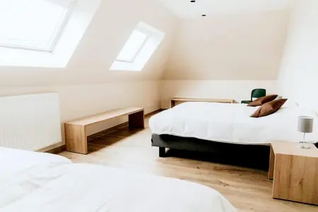 De Veldhoek – Maison 12 pers. avec salle de jeux : photo 39