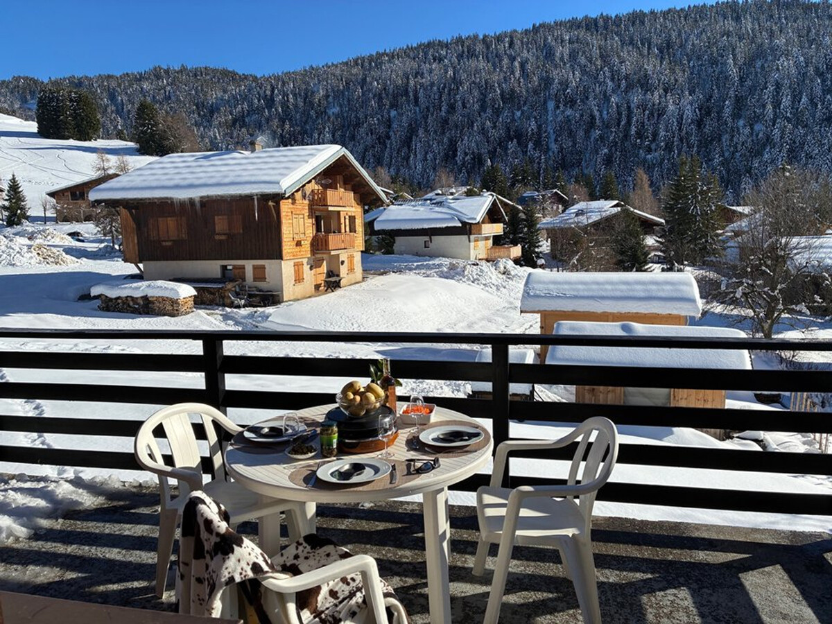 Studio 26 m² Crest-Voland, terrasse 17 m², skis aux pieds - Photo 11