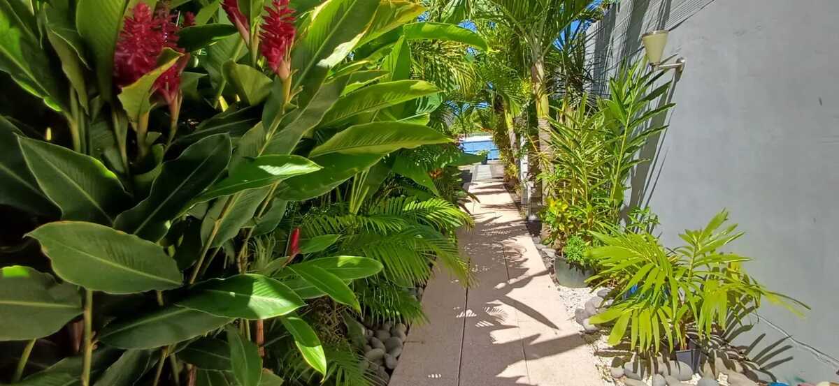 Bungalow 5 pers. à Bouillante, piscine privée toute l'année - Photo 46