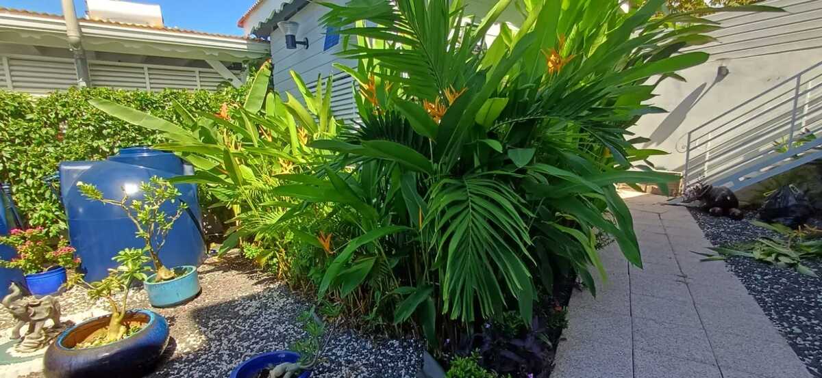 Bungalow 5 pers. à Bouillante, piscine privée toute l'année - Photo 52