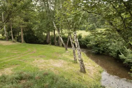 Maison Limerik - 14 pers. sur 10 hectares aux Ardennes : photo 9