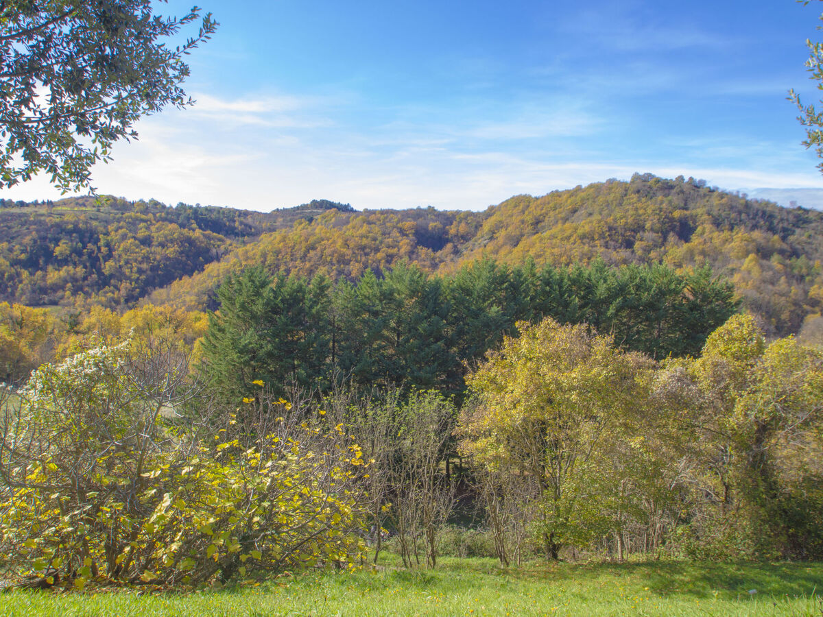 Il Frassino del Borgo di Ghiora, gîte 2 pièces Arezzo - Photo 19