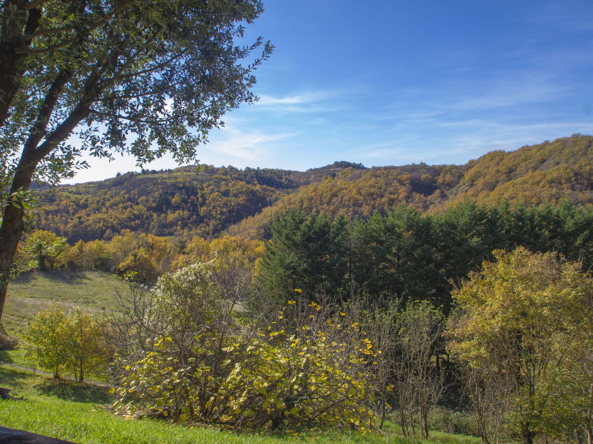 Il Frassino del Borgo di Ghiora, gîte 2 pièces Arezzo - Photo 20