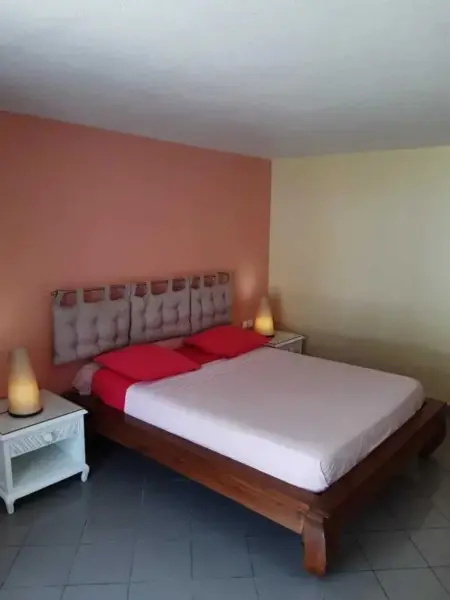 Studio vue mer avec terrasse à Le Gosier, à 360 m de l'Anse Tabarin : photo 3