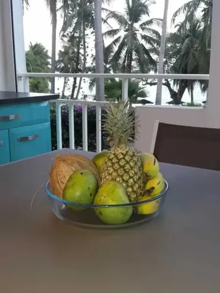 Studio vue mer avec terrasse à Le Gosier, à 360 m de l'Anse Tabarin : photo 7