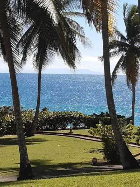 Studio vue mer avec terrasse à Le Gosier, à 360 m de l'Anse Tabarin : photo 9