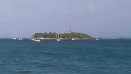 Studio vue mer avec terrasse à Le Gosier, à 360 m de l'Anse Tabarin : photo 10