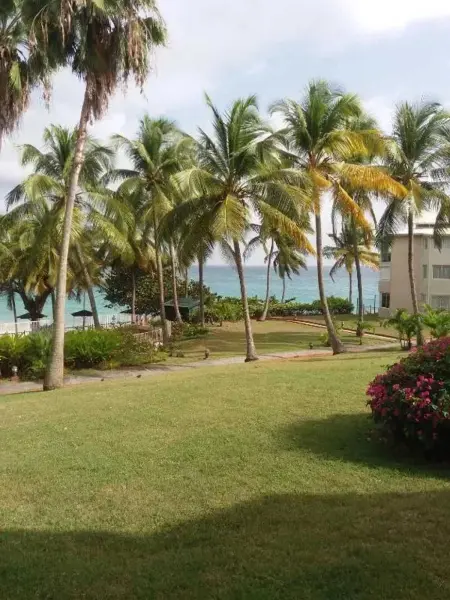 Studio vue mer avec terrasse à Le Gosier, à 360 m de l'Anse Tabarin : photo 18