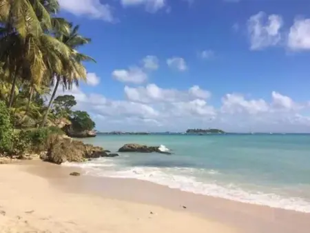 Studio vue mer avec terrasse à Le Gosier, à 360 m de l'Anse Tabarin : photo 19