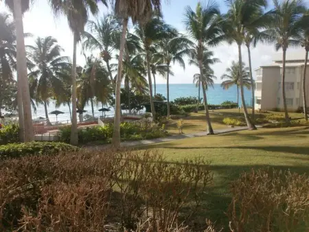 Studio vue mer avec terrasse à Le Gosier, à 360 m de l'Anse Tabarin : photo 20