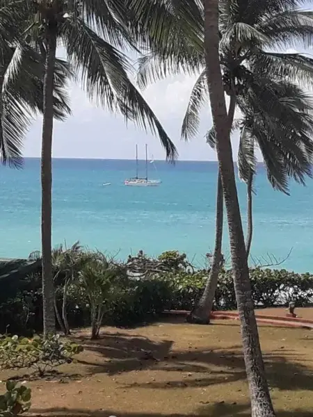 Studio vue mer avec terrasse à Le Gosier, à 360 m de l'Anse Tabarin : photo 21