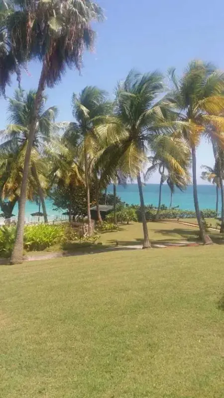 Studio vue mer avec terrasse à Le Gosier, à 360 m de l'Anse Tabarin : photo 22