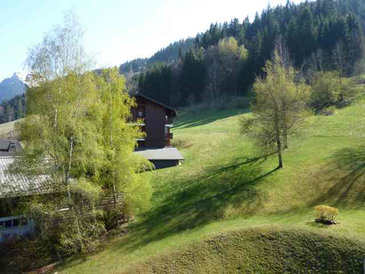 Appartement 3 pièces Morzine, vue Pleney avec balcon - Photo 16