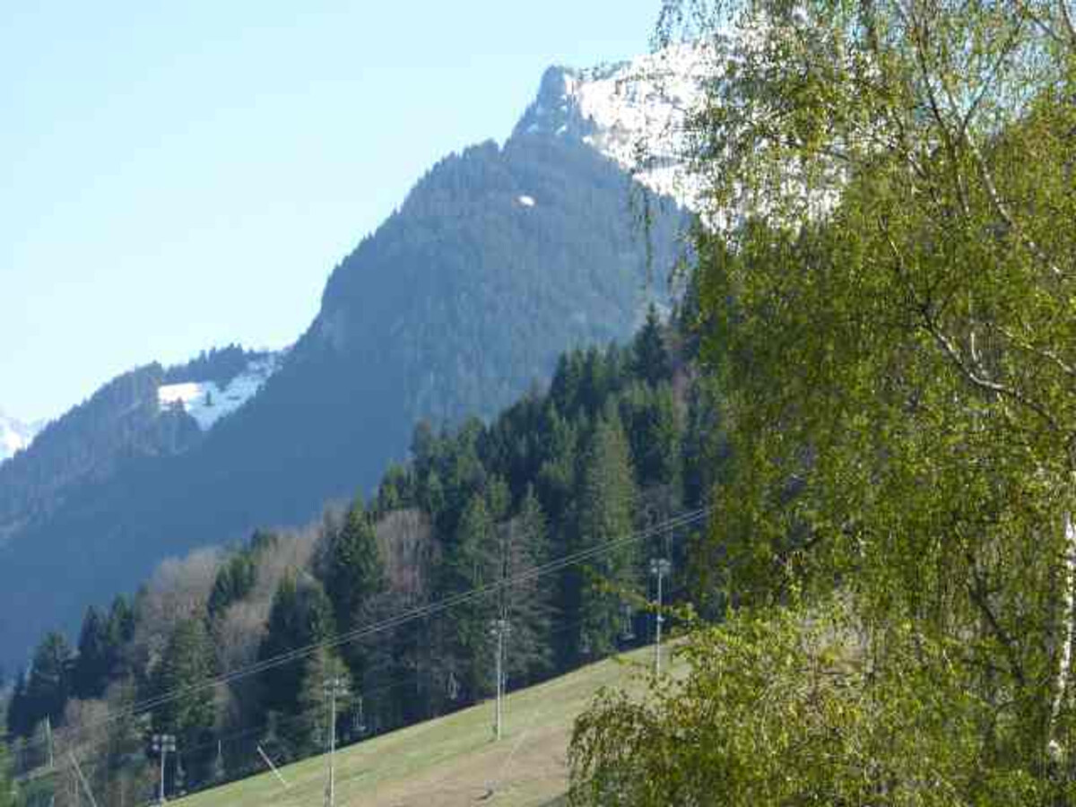 Appartement 3 pièces Morzine, vue Pleney avec balcon - Photo 17