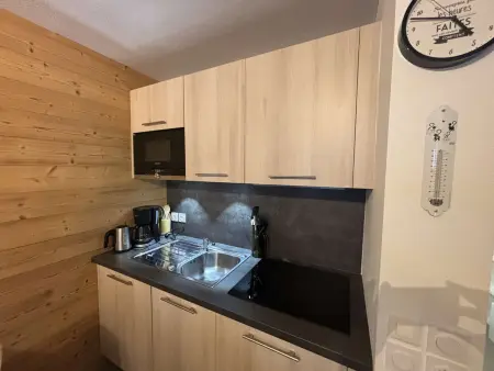 Appartement 2 pièces moderne, 50 m des pistes à Auris : photo 5