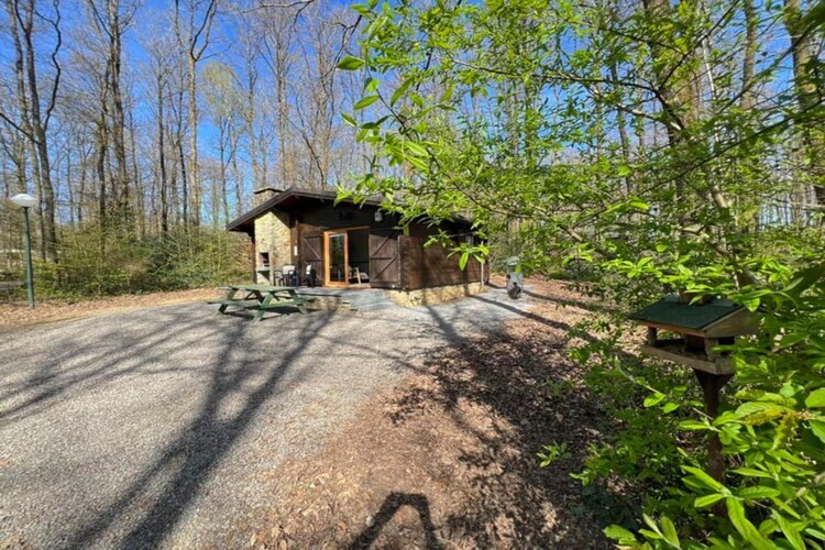 Chalet Lijsternest - 6 personnes en forêt ardennaise - Photo 6