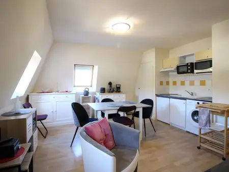 T2 centre La Bourboule, vue, parking, petit chien OK : photo 3