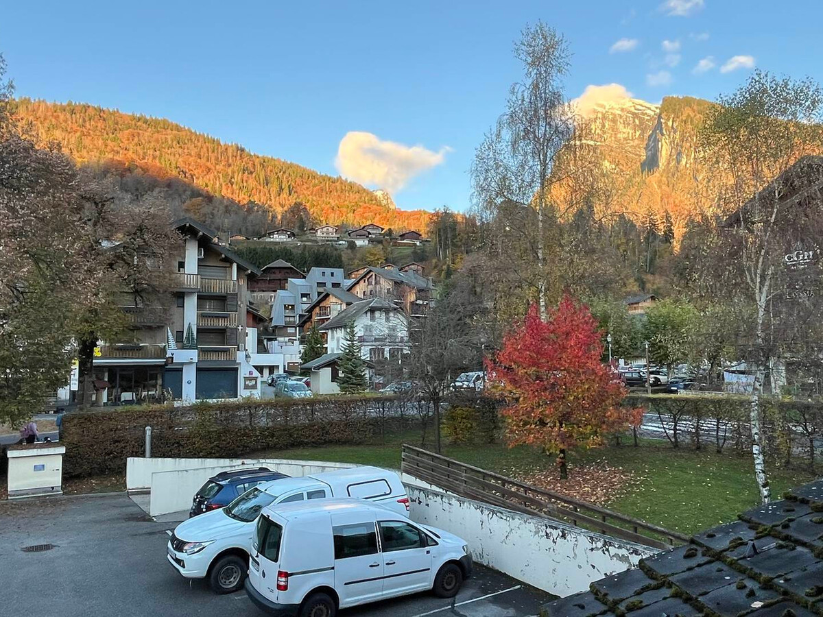 Appart 6 pers Samoëns, animaux admis, navettes ski - Photo 13