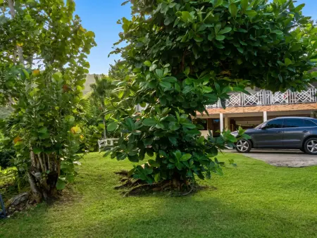 Appartement avec vue mer et terrasse privée à Rivière-Pilote : photo 9