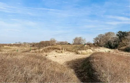 Maison 6 pers. près de la plage à Koksijde : photo 26