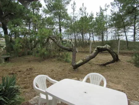 Maison 6 pers. à 100m de l'océan, jardin 900m² : photo 8