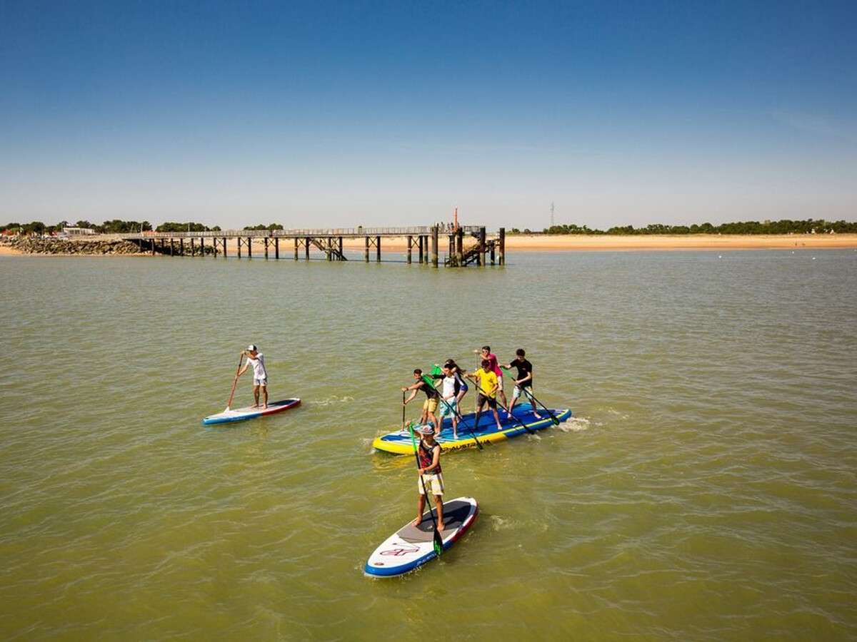 Maison 4 chambres avec jardin et animaux admis - Photo 27