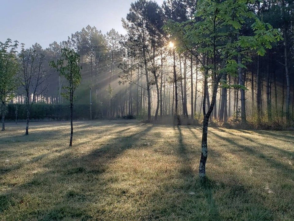 Gîte 14 personnes en forêt à Parigné-l'Évêque - Photo 9