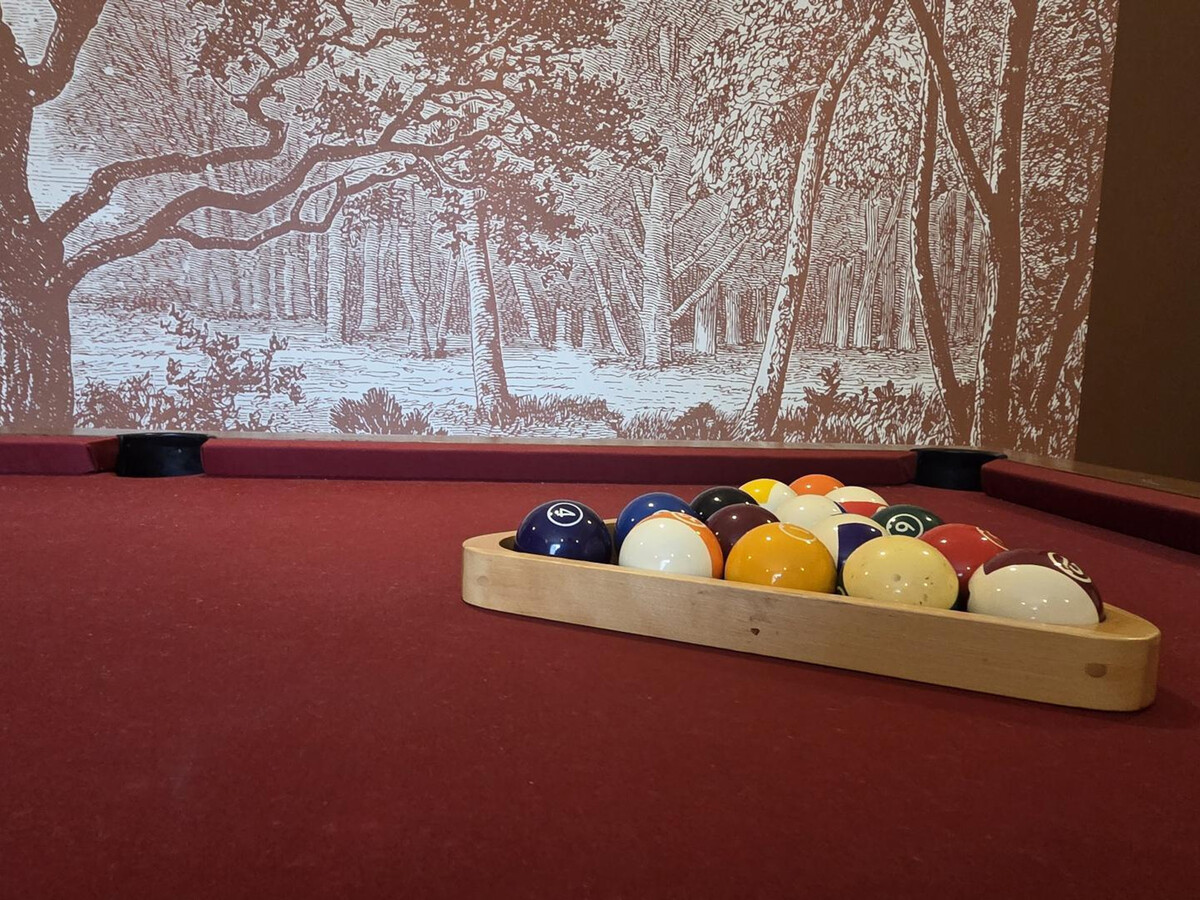 Gîte Le Grand Commun, 36 pers., 2 bâtiments et jeux - Photo 3