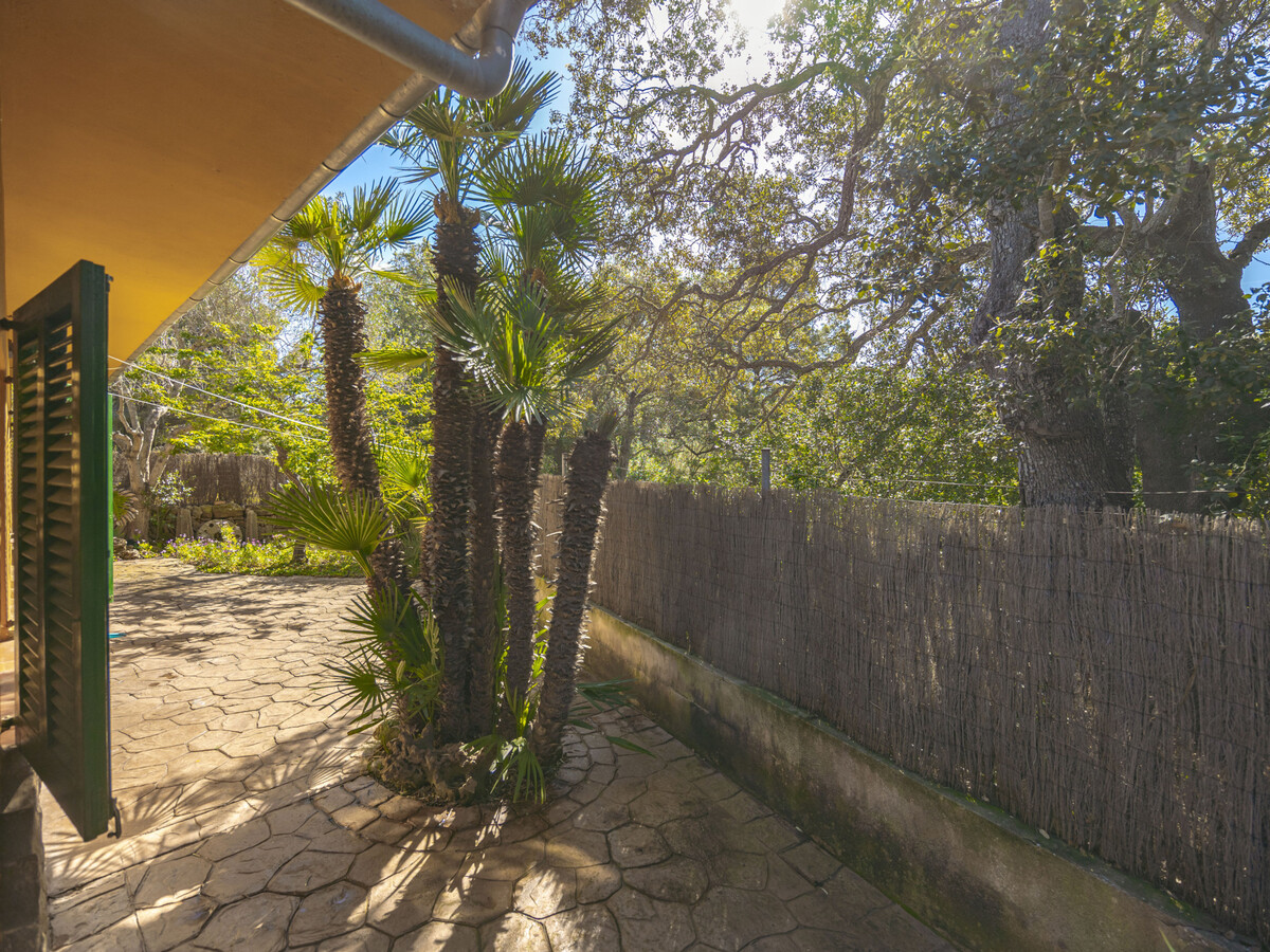Villa 4 chambres piscine 7x4 m à Alcúdia - Photo 28
