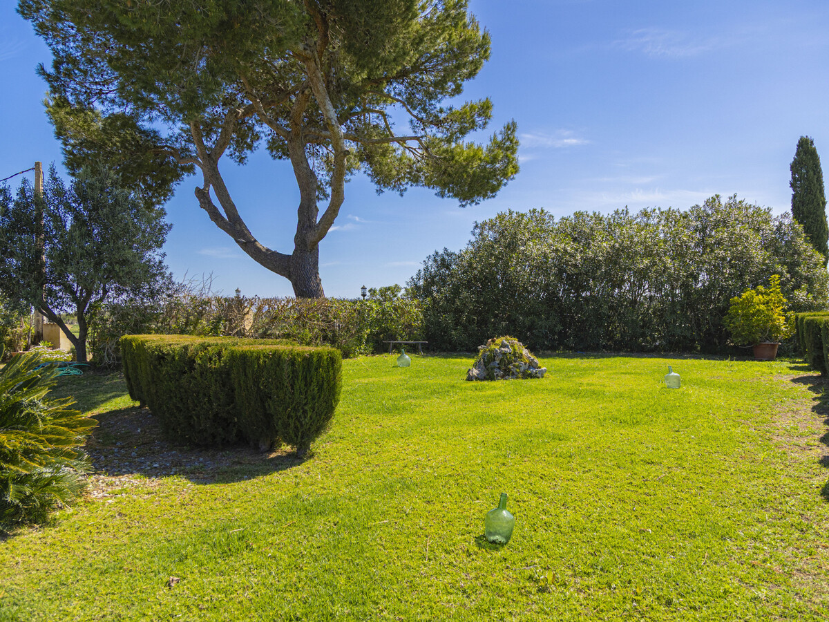 Villa 2 pers. piscine privée 8x4 m à Santa Margalida - Photo 10