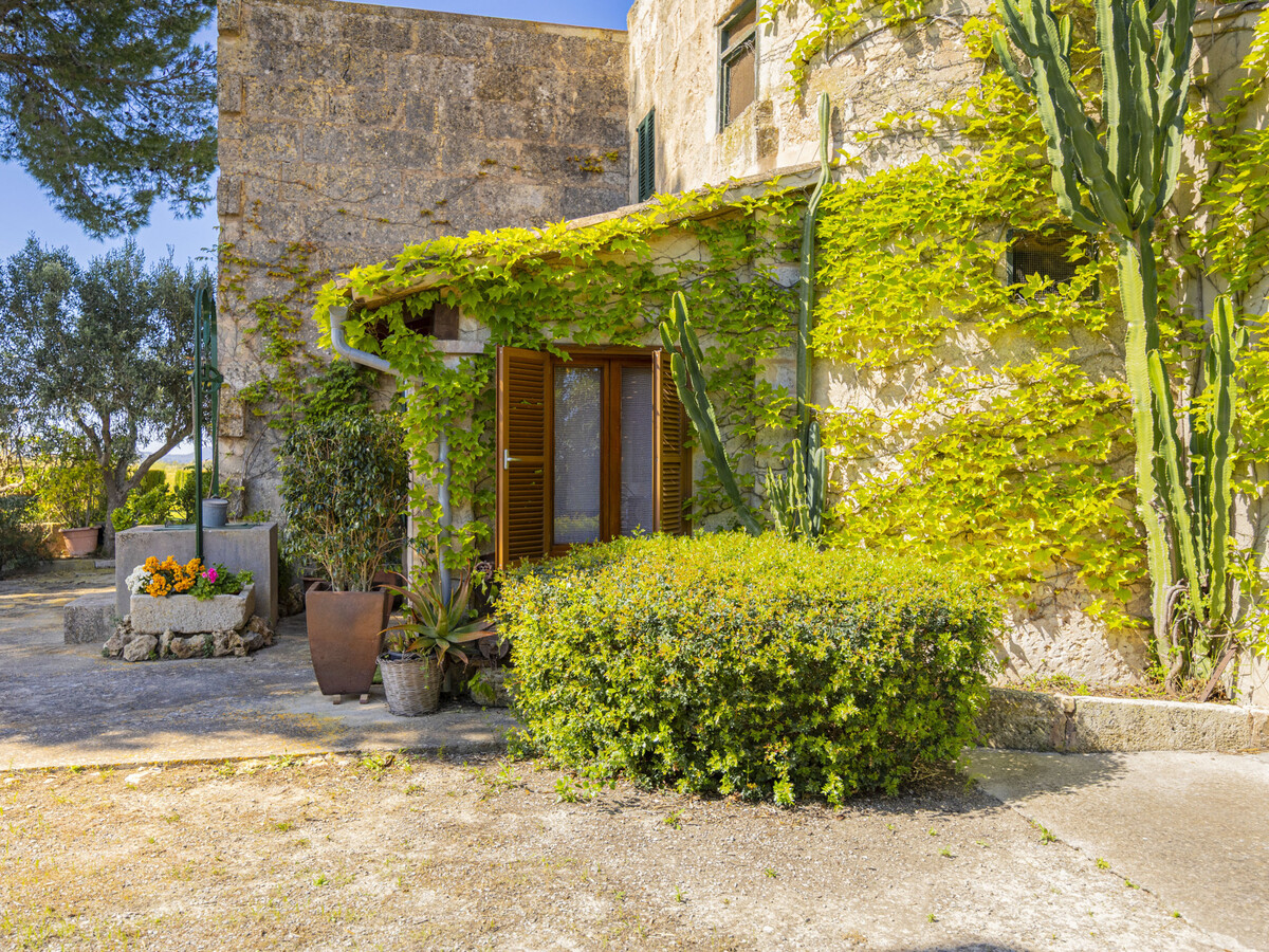 Villa 2 pers. piscine privée 8x4 m à Santa Margalida - Photo 20