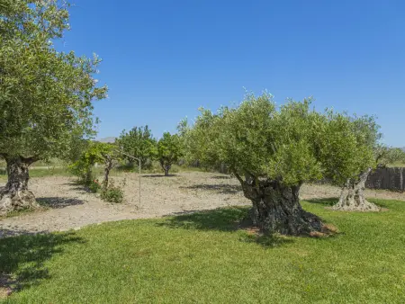 Villa à Alcudia avec piscine privée et climatisation - Photo 34