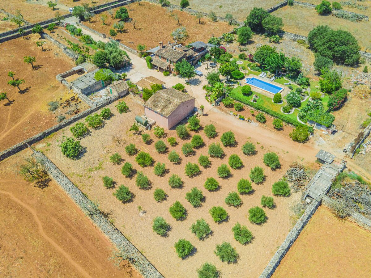 Villa 140 m² à Santa Margalida, piscine 9x4 m - Photo 3