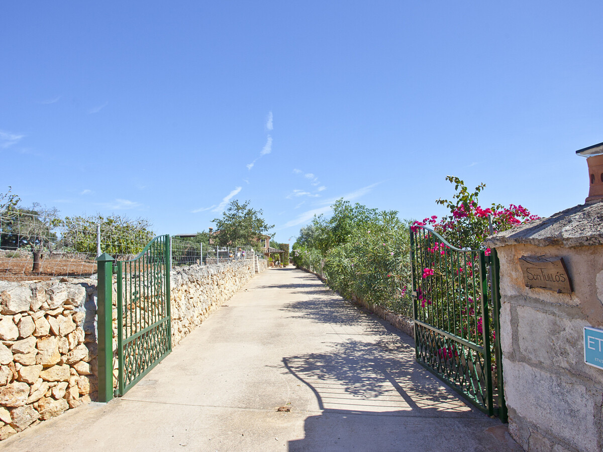 Villa 140 m² à Santa Margalida, piscine 9x4 m - Photo 18