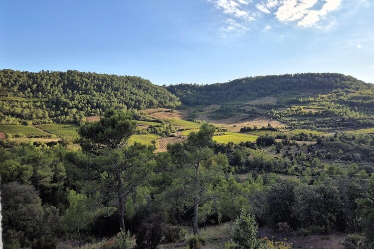 La Garrigue, maison 6 pers. avec piscine à Pierrerue - Photo 26