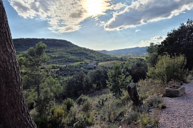 La Garrigue, maison 6 pers. avec piscine à Pierrerue - Photo 30