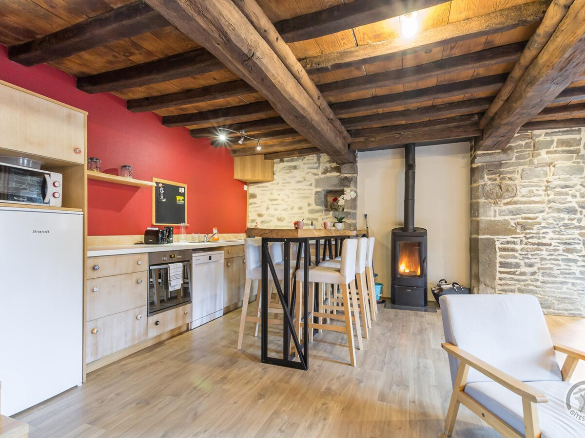 Gîte 3 niveaux avec poêle à bois et grand jardin paysager - Photo 3