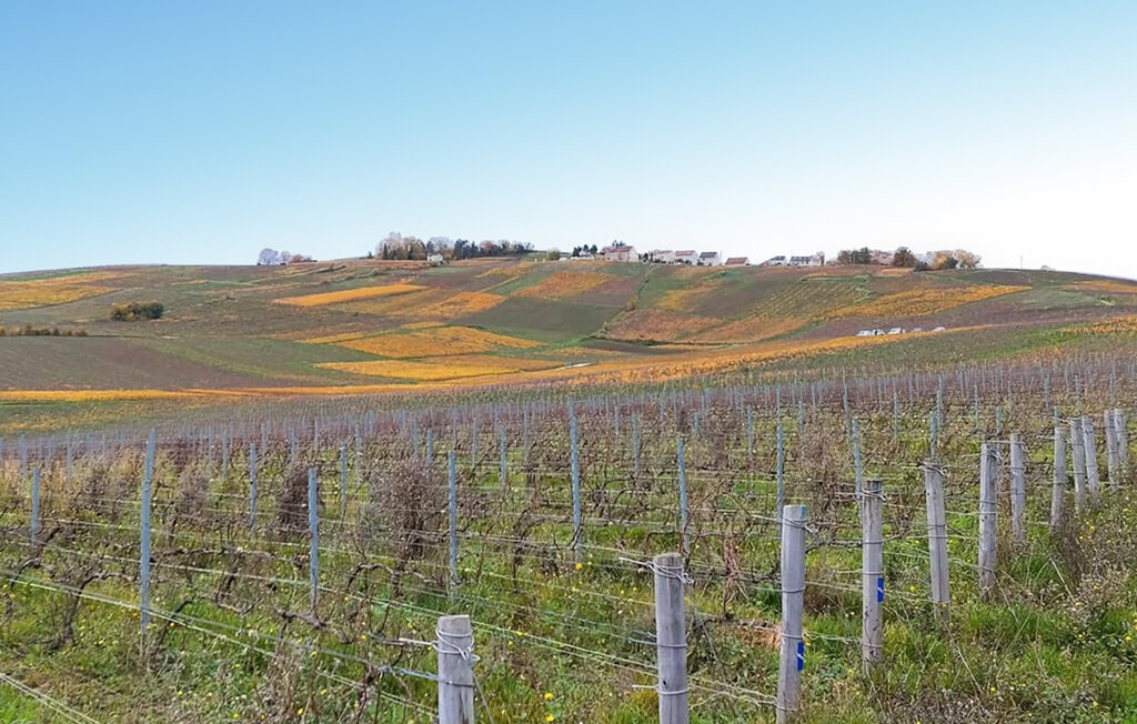 Maison de vacances en Champagne, jardin et terrasse - Photo 8