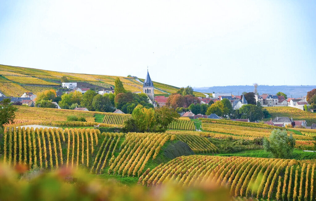 Maison de vacances en Champagne, jardin et terrasse - Photo 14