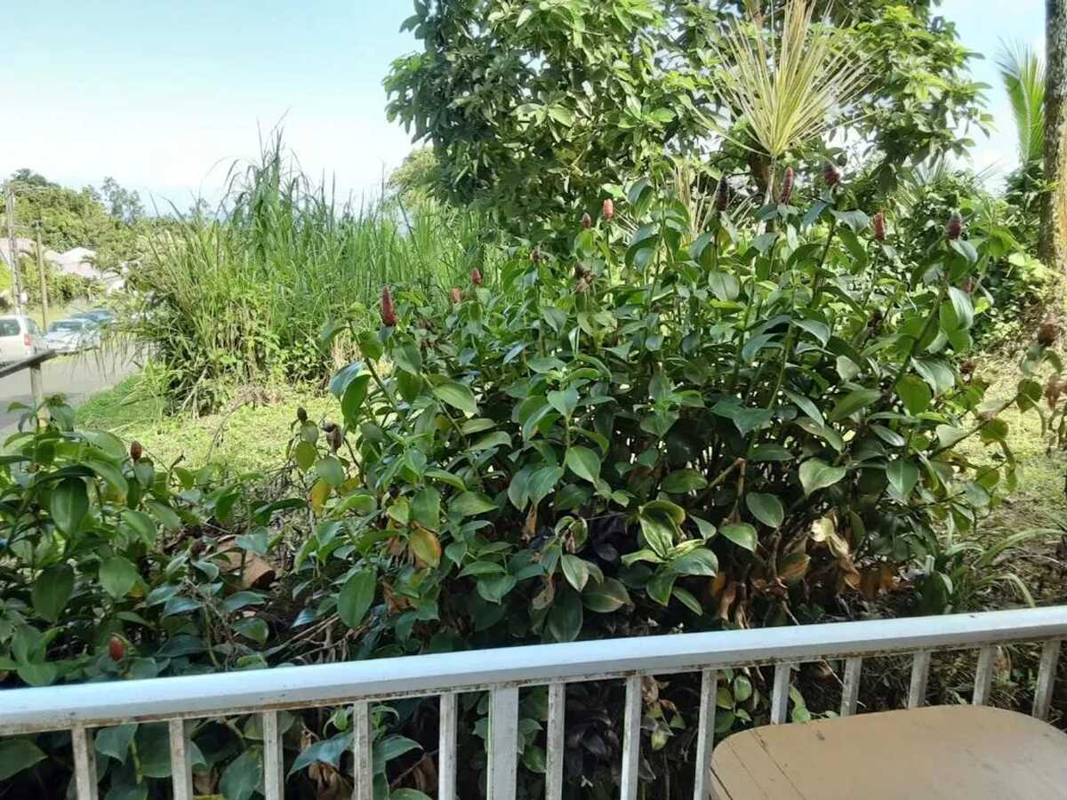 Appartement 2 chambres, piscine et terrasse - Photo 41