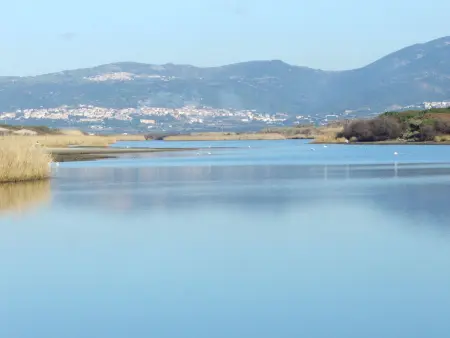 Spritz Home, Appartement 4 personnes à Valledoria - Photo 26