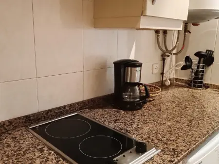 Appartement lumineux 4 pers avec Clim et WiFi - Animaux admis : photo 10