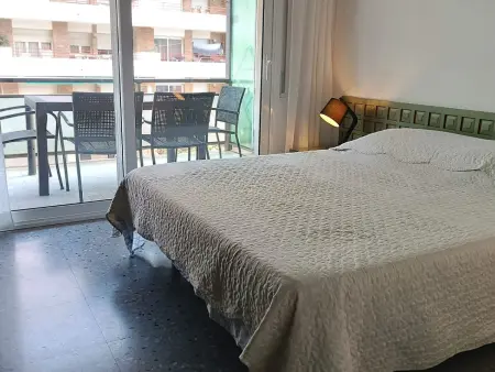 Appartement lumineux 4 pers avec Clim et WiFi - Animaux admis : photo 12