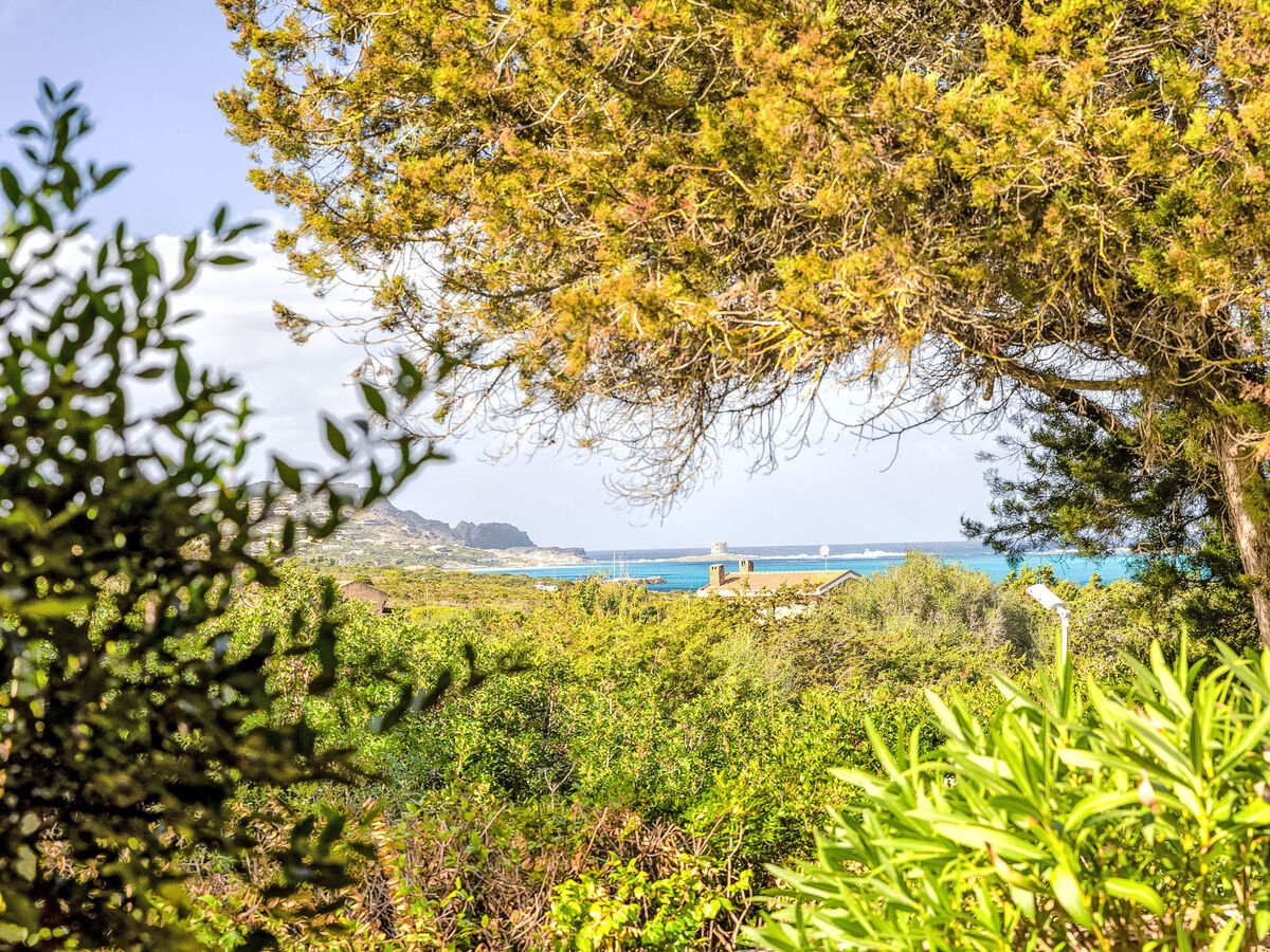 Lo Scrigno Segreto – Maison 2 pièces à Stintino - Photo 26