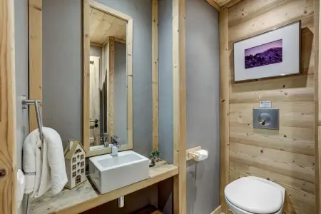 Chalet Sanaz, jacuzzi avec vue Mont Blanc : photo 19