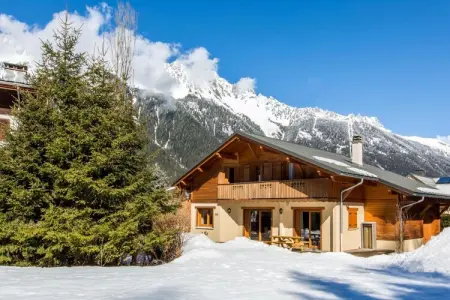 Chalet Sanaz, jacuzzi avec vue Mont Blanc : photo 28