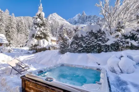 Chalet Black Stone, 10 pers., piscine et sauna : photo 26